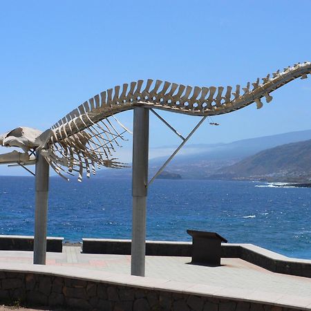 Casa"La Gomera" ลอส ซิลอส ภายนอก รูปภาพ