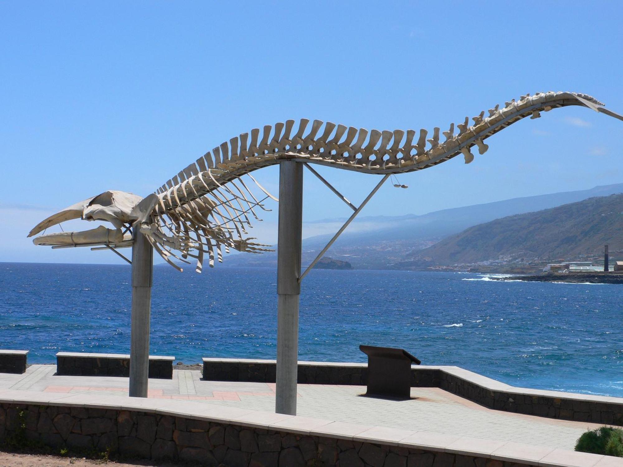 Casa"La Gomera" ลอส ซิลอส ภายนอก รูปภาพ